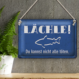 Blechschild Spruch 30x20cm lächle Du kannst nicht alle