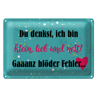 Blechschild Spruch 30x20cm du denkst ich bin klein lieb
