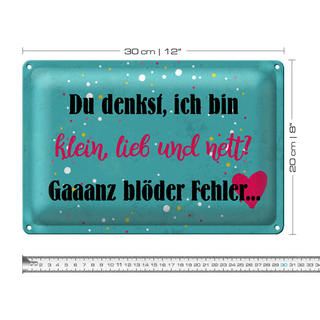 Blechschild Spruch 30x20cm du denkst ich bin klein lieb