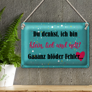 Blechschild Spruch 30x20cm du denkst ich bin klein lieb