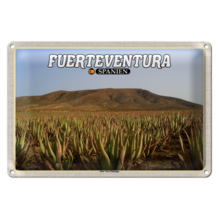 Blechschild Reise 30x20cm Fuerteventura Spanien Aloe Vera Plantage