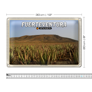 Blechschild Reise 30x20cm Fuerteventura Spanien Aloe Vera Plantage