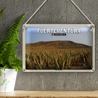 Blechschild Reise 30x20cm Fuerteventura Spanien Aloe Vera Plantage