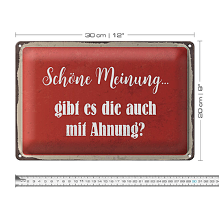 Blechschild Spruch 30x20cm schöne Meinung gibt mit Ahnung