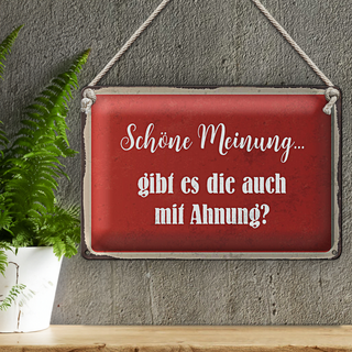Blechschild Spruch 30x20cm schöne Meinung gibt mit Ahnung