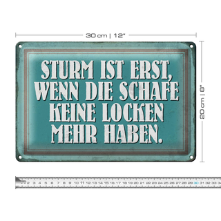 Blechschild Spruch 30x20cm Sturm wenn Schafe keine Locken