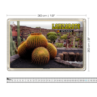 Blechschild Reise 30x20cm Lanzarote Spanien Jardin de Cactus Garten