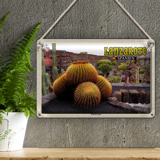 Blechschild Reise 30x20cm Lanzarote Spanien Jardin de Cactus Garten