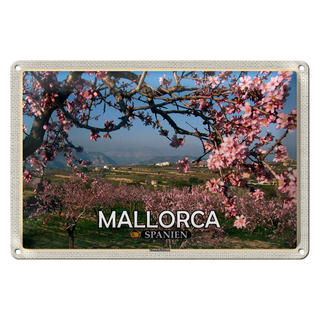 Blechschild Reise 30x20cm Mallorca Spanien Mandelblüten