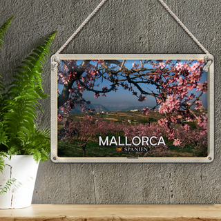Blechschild Reise 30x20cm Mallorca Spanien Mandelblüten