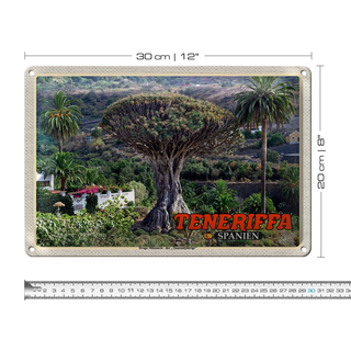 Blechschild Reise 30x20cm Teneriffa Drago Milenario-Tausendjährige