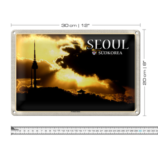 Blechschild Reise 30x20cm Seoul Südkorea N Seoul Tower Fernsehturm