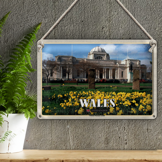 Blechschild Reise 30x20cm Wales United Kingdom Museum Cardiff