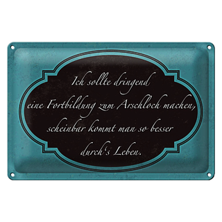 Blechschild Spruch 30x20cm ich Fortbildung zum Arschloch