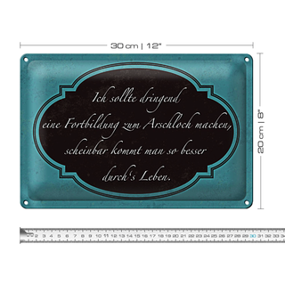 Blechschild Spruch 30x20cm ich Fortbildung zum Arschloch