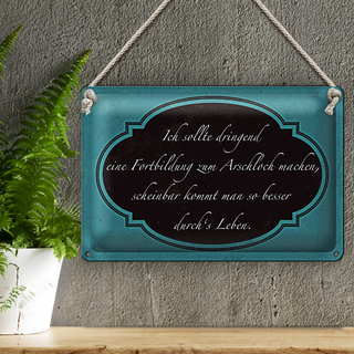 Blechschild Spruch 30x20cm ich Fortbildung zum Arschloch