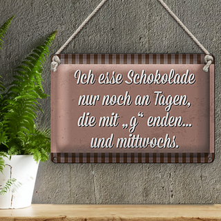 Blechschild Spruch 30x20cm ich esse Schokolade nur an Tagen