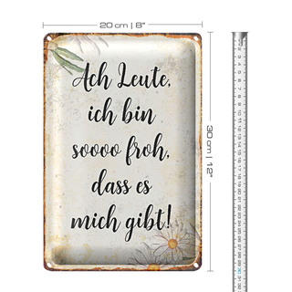 Blechschild Spruch 20x30cm Ach Leute ich bin soo froh