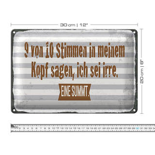 Blechschild Spruch 30x20cm 9 von 10 Stimmen in meinem Kopf