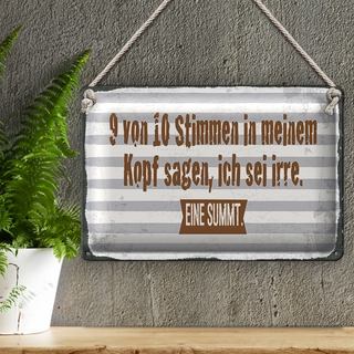 Blechschild Spruch 30x20cm 9 von 10 Stimmen in meinem Kopf