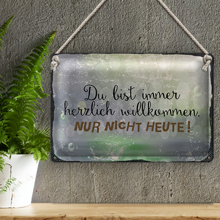 Blechschild Spruch 30x20cm du bist immer willkommen. Nur nicht heute
