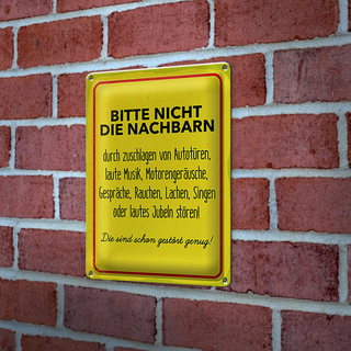 Blechschild Hinweis 20x30cm Nachbarn sind schon gestört genug