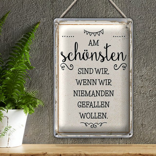 Blechschild Spruch 20x30cm Wenn wir niemanden gefallen wollen