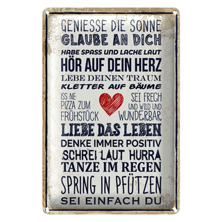 Blechschild Spruch 20x30cm genieße die Sonne