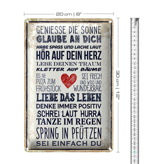 Blechschild Spruch 20x30cm genieße die Sonne