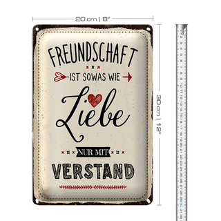 Blechschild Spruch 20x30cm Freundschaft ist sowas wie Liebe