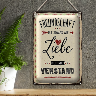Blechschild Spruch 20x30cm Freundschaft ist sowas wie Liebe