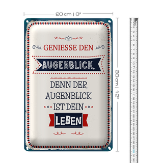 Blechschild Spruch 20x30cm denn der Augenblick ist dein Leben