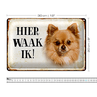 Blechschild Spruch 30x20cm holländisch Hier Waak ik Chihuahua