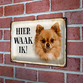 Blechschild Spruch 30x20cm holländisch Hier Waak ik Chihuahua