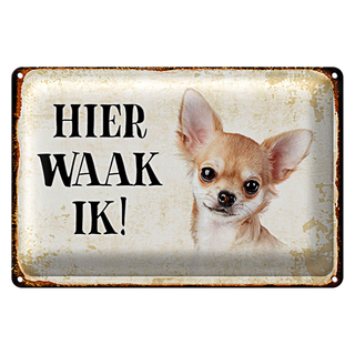 Blechschild Spruch 30x20cm holländisch Hier Waak ik Chihuahua glatt