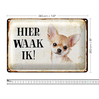 Blechschild Spruch 30x20cm holländisch Hier Waak ik Chihuahua glatt