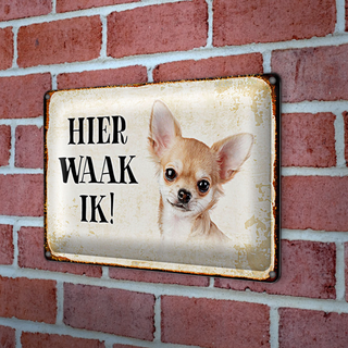 Blechschild Spruch 30x20cm holländisch Hier Waak ik Chihuahua glatt