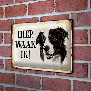 Blechschild Spruch 30x20cm holländisch Hier Waak ik Border Collie