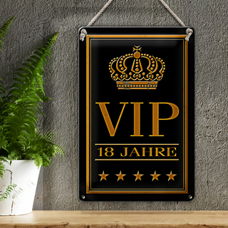 Blechschild Hinweis 20x30cm VIP 18 Jahre
