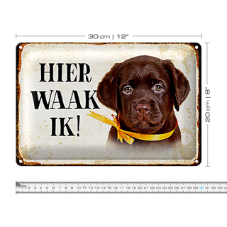 Blechschild Spruch 30x20cm holländisch Hier Waak ik Labrador Puppy