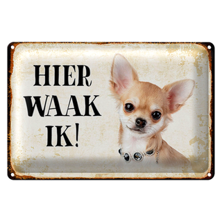 Blechschild Spruch 30x20cm holländisch Hier Waak ik Chihuahua mit Kette