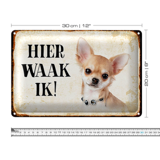 Blechschild Spruch 30x20cm holländisch Hier Waak ik Chihuahua mit Kette