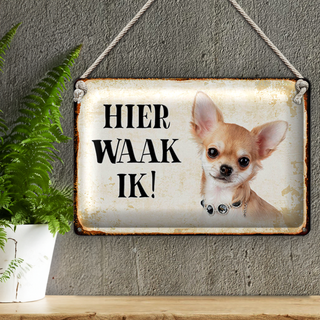Blechschild Spruch 30x20cm holländisch Hier Waak ik Chihuahua mit Kette