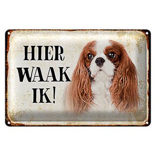 Blechschild Spruch 30x20cm holländisch Hier Waak ik King Charles Spaniel