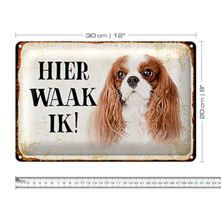 Blechschild Spruch 30x20cm holländisch Hier Waak ik King Charles Spaniel
