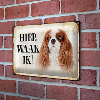 Blechschild Spruch 30x20cm holländisch Hier Waak ik King Charles Spaniel