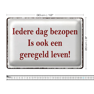 Blechschild Spruch 30x20cm ledere dag bezopen is ook een geregeld leven