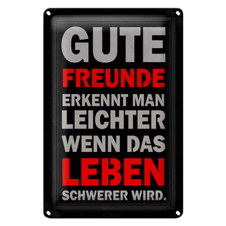 Blechschild Spruch 20x30cm gute Freunde erkennt man