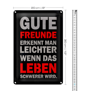 Blechschild Spruch 20x30cm gute Freunde erkennt man