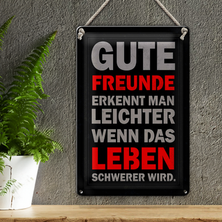 Blechschild Spruch 20x30cm gute Freunde erkennt man